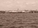 P5260717.jpg (26090 bytes)